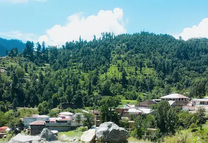 Branch Location